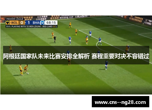 阿根廷国家队未来比赛安排全解析 赛程重要对决不容错过