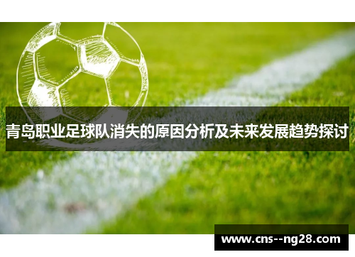 青岛职业足球队消失的原因分析及未来发展趋势探讨