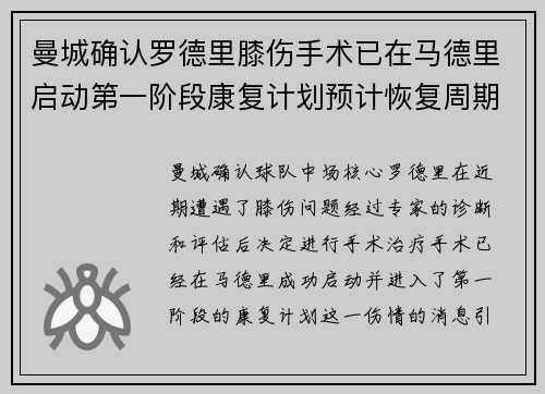 曼城确认罗德里膝伤手术已在马德里启动第一阶段康复计划预计恢复周期受关注